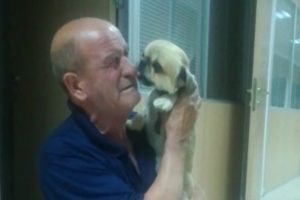 Bursa'da çalınan köpeği bulundu, gözyaşlarına boğuldu