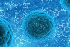 Hücrelere zarar vermeyen 3D mikroskop tanıtıldı