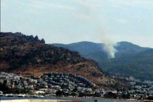 Bodrum'da ormanlık alanda yangın!