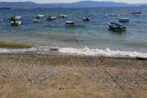 Sıcaktan bunalan Bursalılara denizde de huzur yok! (ÖZEL HABER)