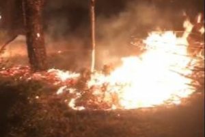 Tekirdağ'da korkutan yangın