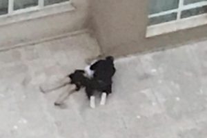 Bursa'da 4. kattan düştü, başında ağlayan sevgilisi tahliye edildi