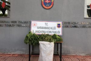 Uyuşturucu operasyonuna 2 gözaltı