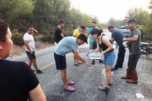 Orman yangınını söndürmek için köylüler seferber oldu