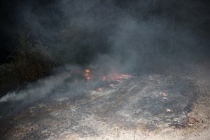 Anında müdahale ormanı yanmaktan kurtardı