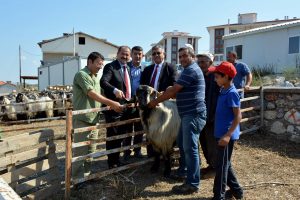Bursa Orhaneli hayvan pazarında hareketlilik başladı