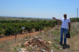 Alternatif tarımda Bursa'da örnek çalışma