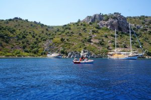 Adaya terk edilen eşek bulunamadı