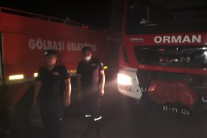 Adıyaman'da 10 hektar ormanlık alan yandı