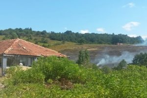 Bursa Gemlik'te orman yangını yayılmadan söndürüldü