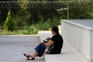 Milli antrenörün cenazesini köpeği 'Kropi' ile bekledi