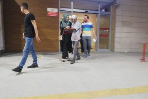 Bursa'da şeftali toplarken canından oluyordu!