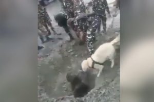 Heyelanda toprak altında kalan adam, köpek sayesinde kurtuldu