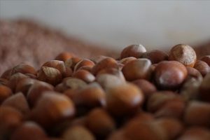 Ticaret borsalarında 320 bin ton fındık işlem gördü