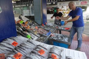 Bursa Mudanya'da balık fiyatları cep yakıyor