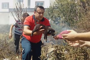 Alevlerin arasında kalan yavru köpekler kurtarıldı