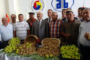 Aydın'da sezonun ilk kuru inciri kilosu 100 TL'den satıldı