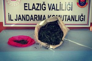 Jandarma ekipleri, uyuşturucu tacirini 2 kilo esrarla yakaladı