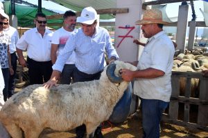 Bursa Osmangazi Belediye Başkanı Dündar, kurban pazarını gezdi