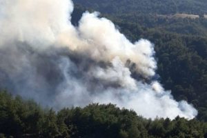 Muğla'da korkutan yangın