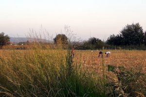Kavga ettiği kardeşlerden birini öldürdü, diğerini yaraladı