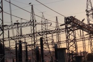 Leylekler trafo merkezine indi, bölge elektriksiz kaldı