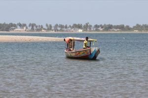 Senegal'in okyanus kıyısındaki kutsal adası Sangomar