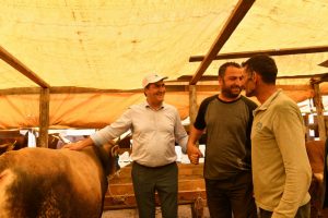 Bursa Osmangazi kurban bayramına hazır