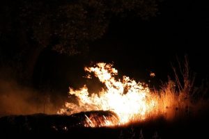 Havai fişekler yangına sebep oldu