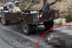 Tüfekle vurulup, sürüklenen domuz görüntülerine 4 gözaltı