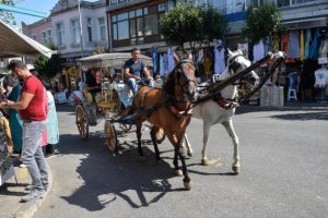 Büyükada'da kavga: Belediye Başkan Yardımcısı yaralandı