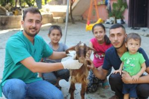 Hatay'da çift cinsiyetli oğlak dünyaya geldi