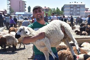 Kurban keserken nelere dikkat edilmeli?
