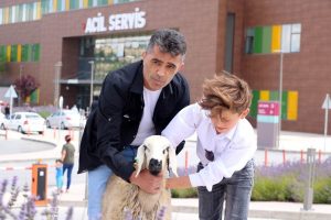 Sahibinin elinden kaçan koyun soluğu acil serviste aldı