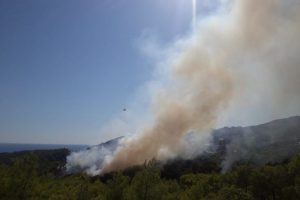 Antalya'da orman yangını