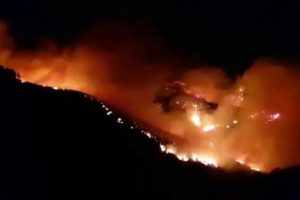 Kanarya Adaları'nda orman yangını