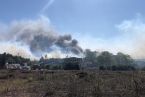 Ormanlık yangını fabrikaya sıçradı