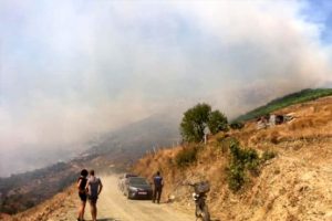 Marmara Adası'nda büyük yangın!