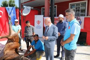 İçişleri Bakanı Soylu'nun kurbanı Van'da kesildi