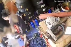 Çin'de yakıt tankı patladı: 4 ölü