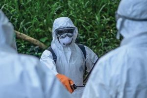 Deneysel Ebola ilaçlarında büyük başarı