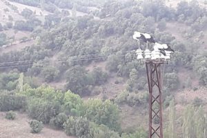Leylekler ölmesin diye 12 saat boyunca elektrikleri kestiler