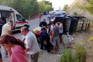 Safari cipi devrildi: Yaralılar var