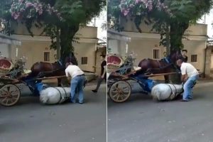 Büyükada'da faytona sürülen atın içler acısı hali
