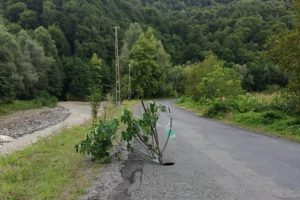 Yolda açılan çukura ilginç önlem