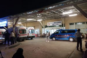 Köpeklerin dövüşmesi cinayete neden oldu