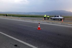 Yolda bulunan kaplumbağayı kurtarmak isterken canından oldu