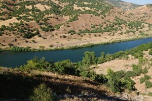 Serinlemek için girdiği nehirde hayatını kaybetti