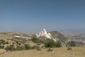 Köylülerden yaban hayvanlarının öldürülmesine tepki