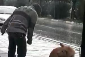 Bursa'da sağanak yağmurda köpeği yumrukladı